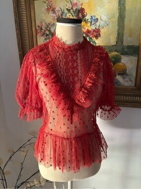 Whimsigoth Sheer Polka Dot Collar Ruffle Blouse Size Medium